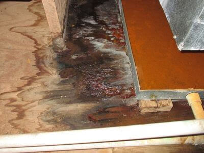 About Expert Water Damage Restoration Services - water damage restoration experts in Adamsville, AL
